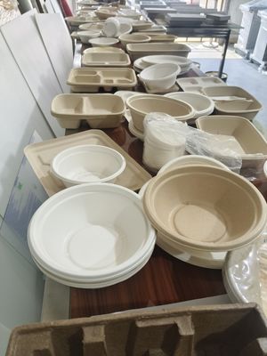 Versatile Spin Coater Pulp Molding voor voedselverpakkingen Olie en lekkagebestendige UV-coating machine