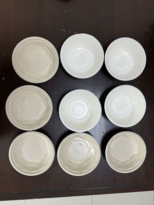 Industrial Waterproof, Oil-Proof, Anti-Adhesion & Heat-Resistant Coating Line for Pulp Molded Packaging - Heavy-Duty Production Solution