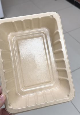 Interne Spin Coating Line voor Pulp Molding Products - Volledig automatische precisiekoatingmachine