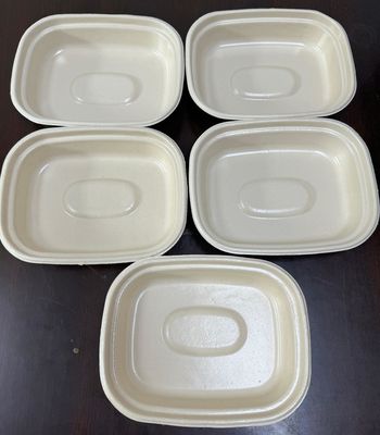 Benchtop Spin Coater for Pulp Molding R&D – Precision Coating & Data Acquisition for Lab Samples