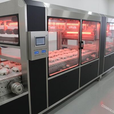 High-Speed Energy-Efficient 2.2M Infrarood droogconveyor voor gevormde pulp oppervlakte coating