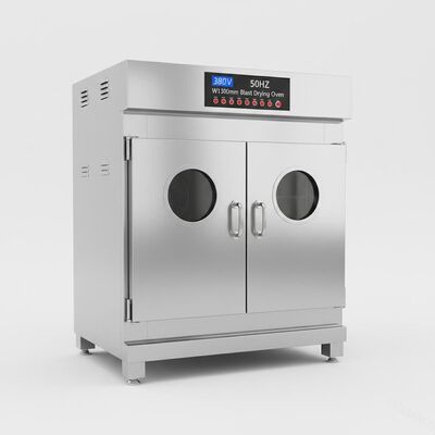 380V 50HZ Twee Deur Constant Temperature Oven, W1300Mm-Ontploffings Droogoven