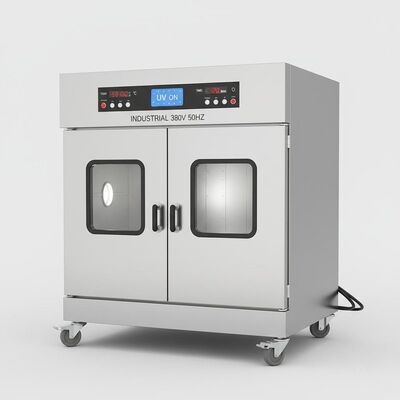 Twee Deur UVconstant temperature blast drying oven Industial 380V 50HZ