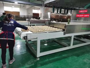 Industriële microgolf fruitdroger en kruidedroger High Efficiency & Quality Conservation