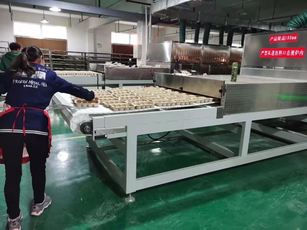 Industriële microgolf fruitdroger en kruidedroger High Efficiency & Quality Conservation