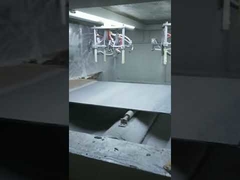 Productielijn voor het sproeien van echte stenen